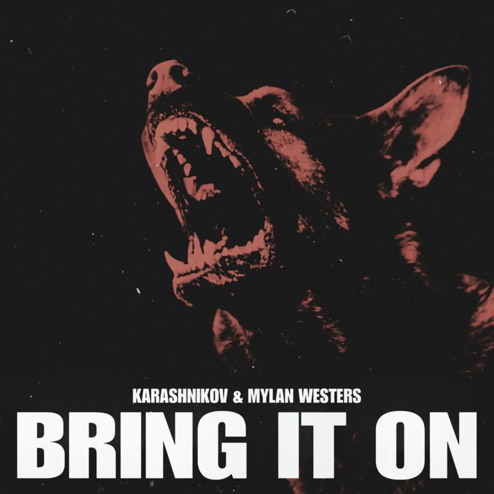 Cover art for Bring It On by Karashnikov & Mylan Westers